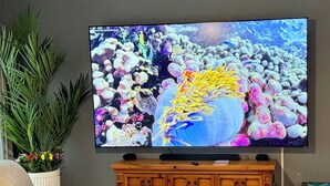 Un téléviseur fixé au mur affiche une scène sous-marine avec des coraux et des poissons.