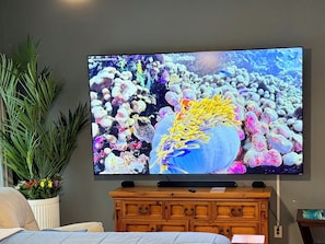 Ein an der Wand befestigter Fernseher zeigt eine Unterwasserlandschaft mit Korallen und Fischen.