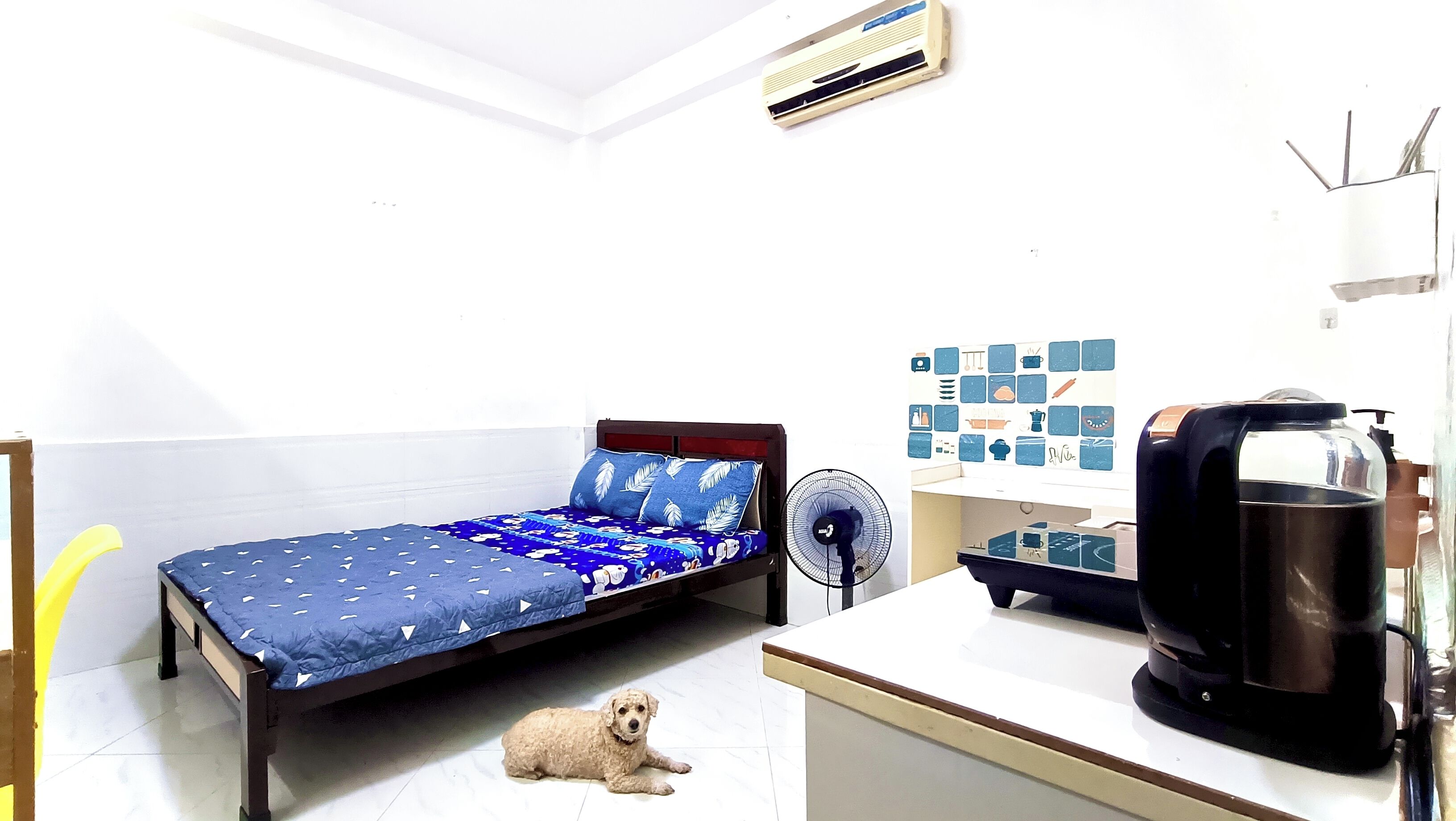 A small room with a bed, a standing fan, a coffee maker, and a small dog.