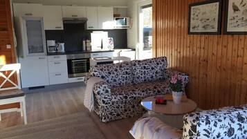 TV connectée, cheminée, livres