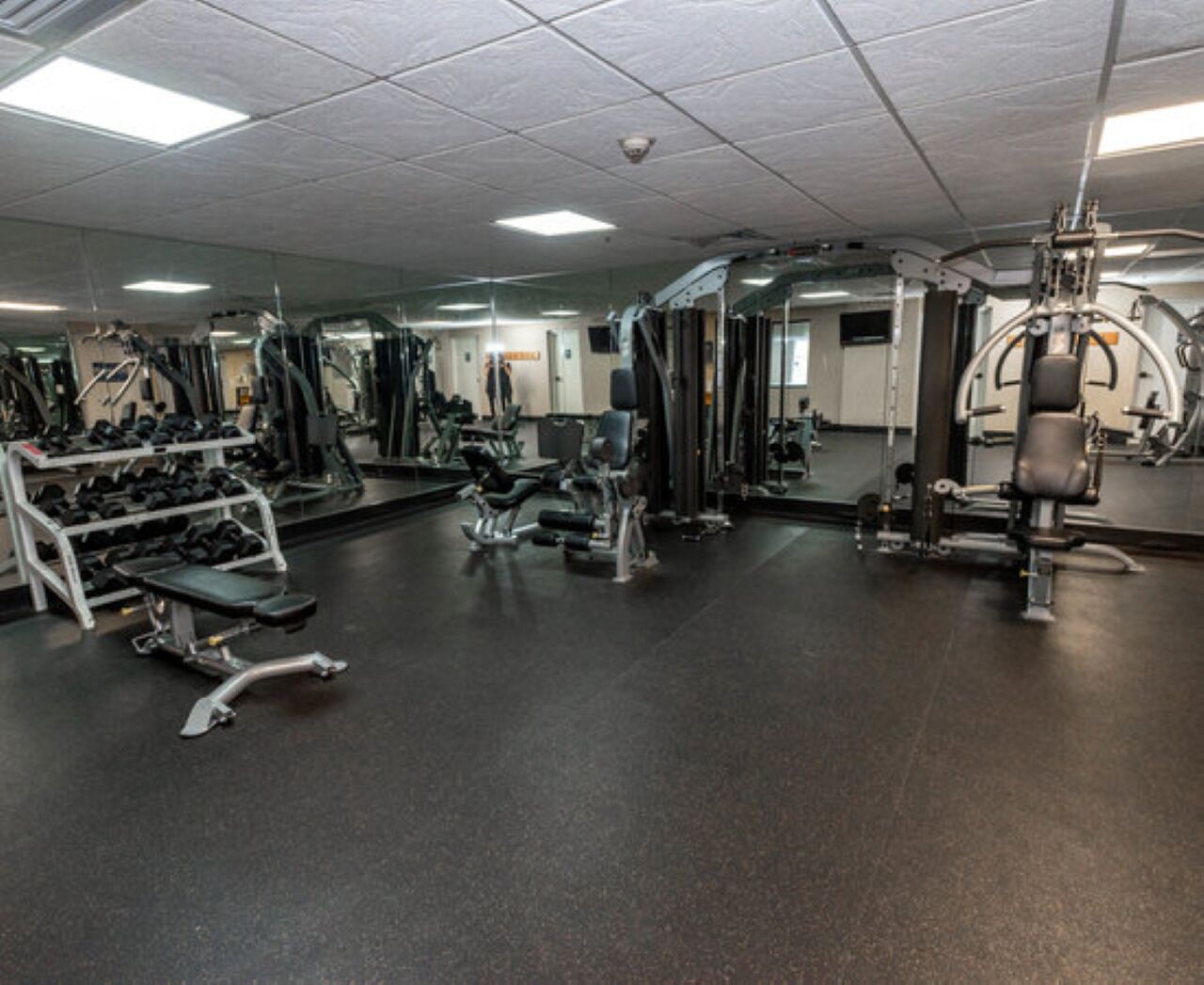 Een fitnessruimte met diverse fitnessapparatuur, waaronder gewichten, banken en krachttrainingsmachines.