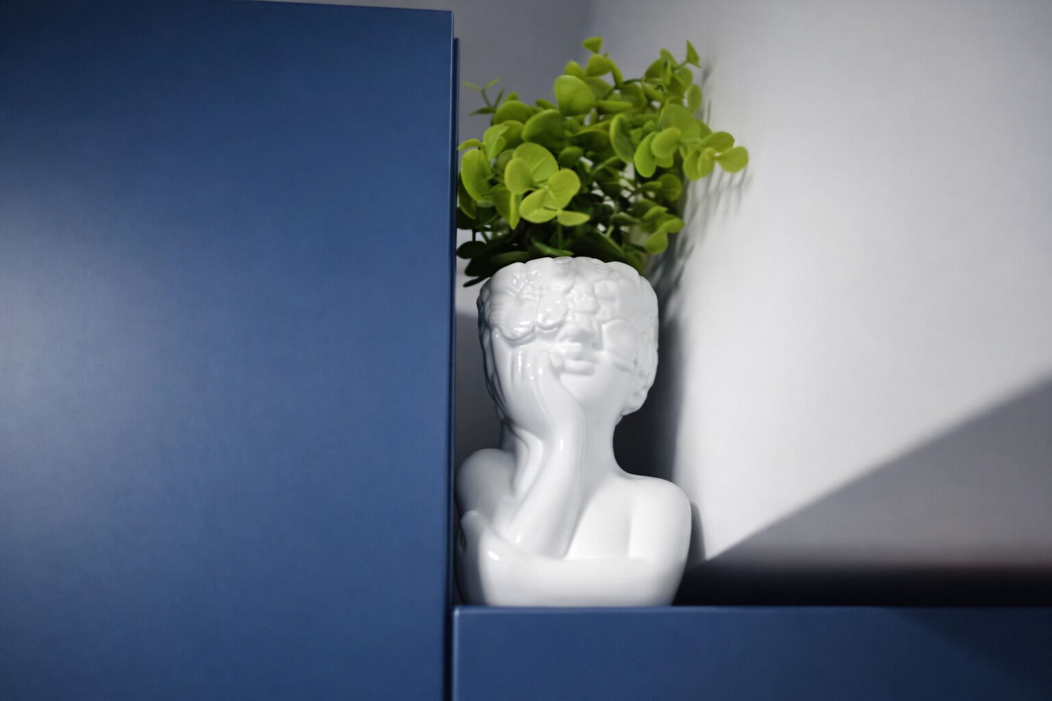 A white bust sculpture with a green plant on top, placed in a blue cabinet.