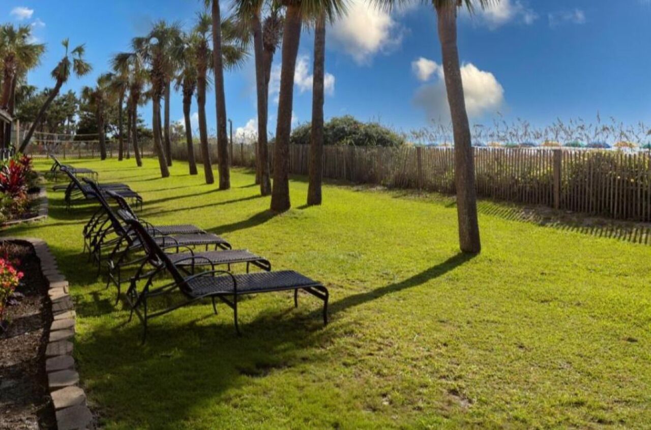 A grassy area with lounge chairs and palm trees.