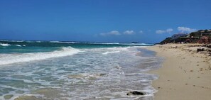 Une plage avec des vagues, une rive sablonneuse et des bâtiments en arrière-plan.