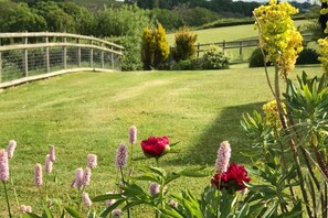 Property grounds - 16th Century Devon Longhouse, Stunning Views (Winkleigh)
