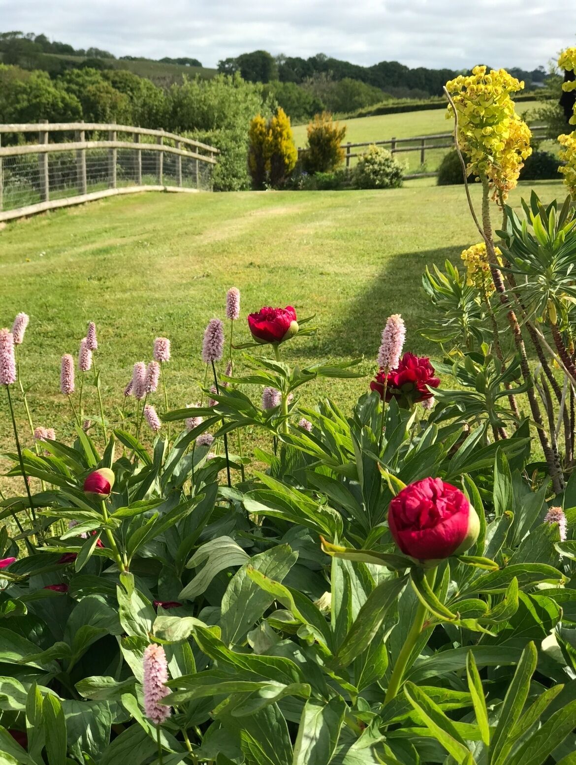 Áreas de la propiedad