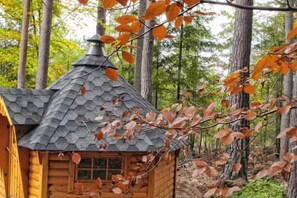 Niet-geclassificeerde afbeelding, 2 van 10, knop