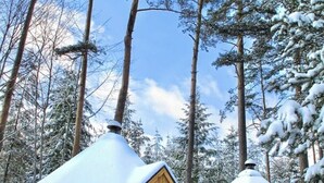 Eine Holzhütte mit schneebedecktem Dach, umgeben von hohen Kiefern.