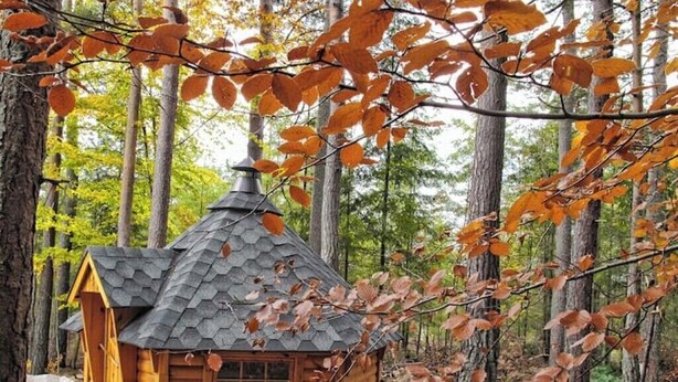 Eine kleine Holzhütte mit geneigtem Dach, umgeben von Bäumen und Herbstlaub.