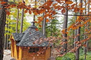 Niet-geclassificeerde afbeelding, 3 van 10, knop