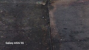 Ein durch einen Metallzaun abgetrennter Bereich mit Topfpflanzen und einem Gebäude im Hintergrund, das eine gelbe Wand und vergitterte Fenster aufweist.
