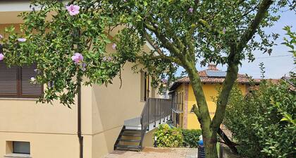 House in the heart of Langhe surrounded by greenery with 5 beds wifi free
