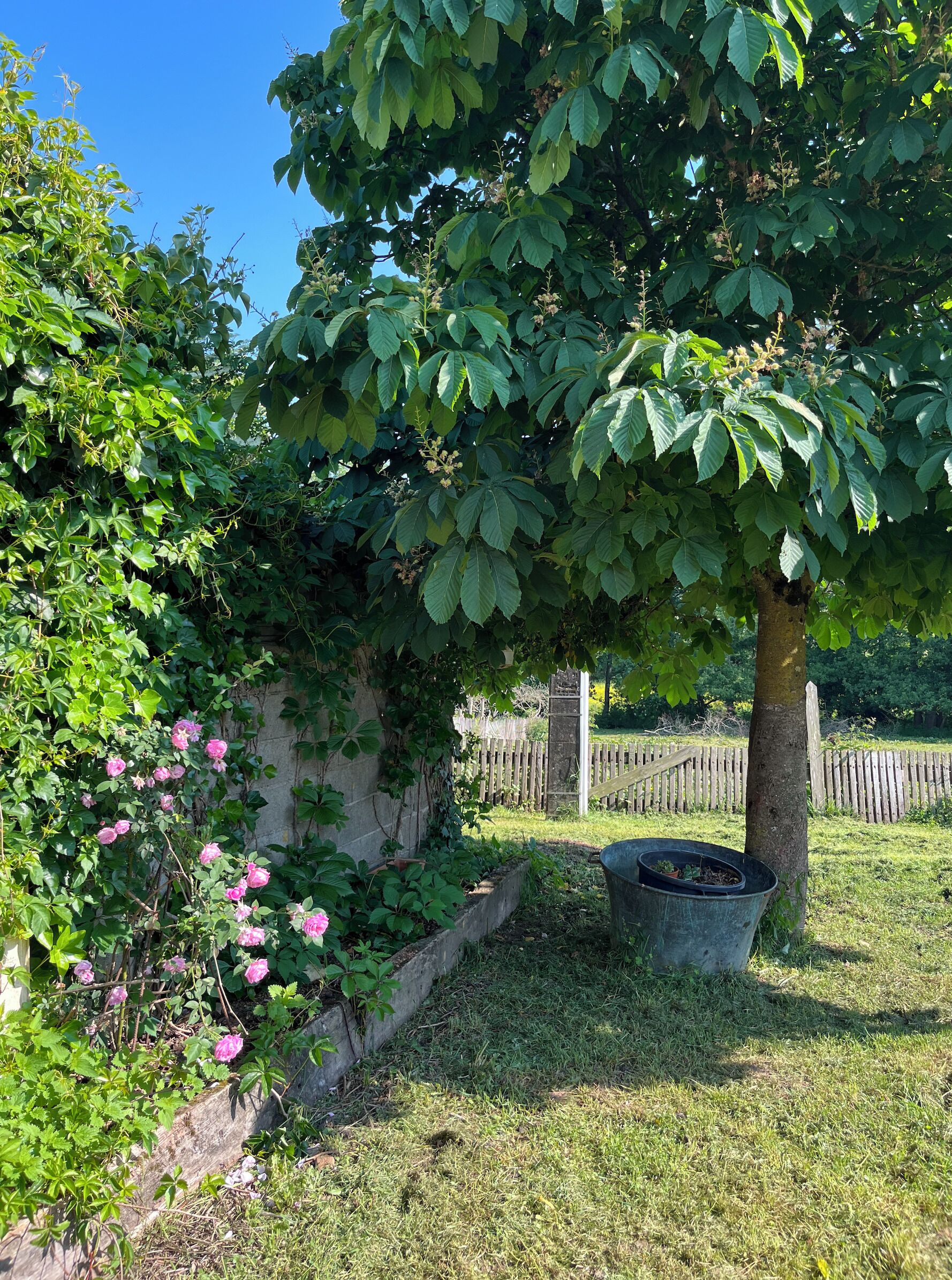 Enceinte de l’hébergement