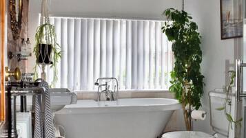 Hair dryer, towels, toilet paper
