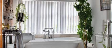 Hair dryer, towels, toilet paper