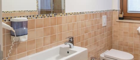 Hair dryer, towels, soap, toilet paper