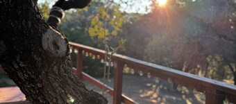 The Chill Haus~ cozy 2b/2b, sleeps 8, Hot Tub/Game room close to lake and river!