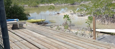 A wooden deck leading to a water body with surrounding vegetation.