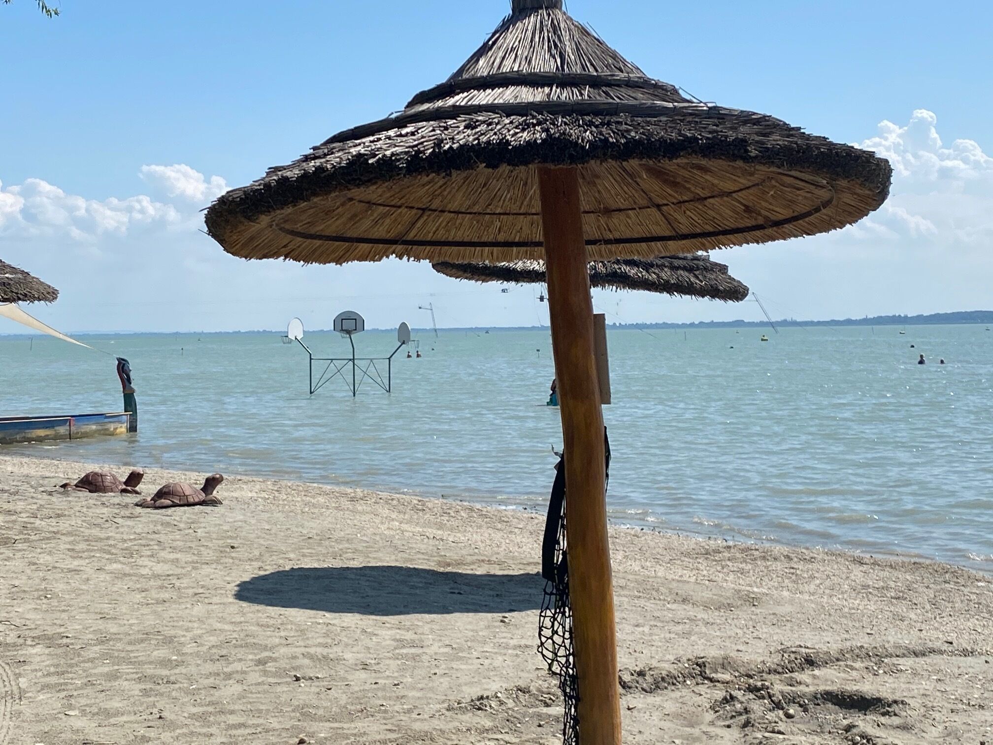 Sun loungers