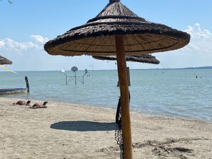 Ein Strand mit einem Reetdach-Sonnenschirm, einem Basketballkorb und einer Schildkröte im Sand.