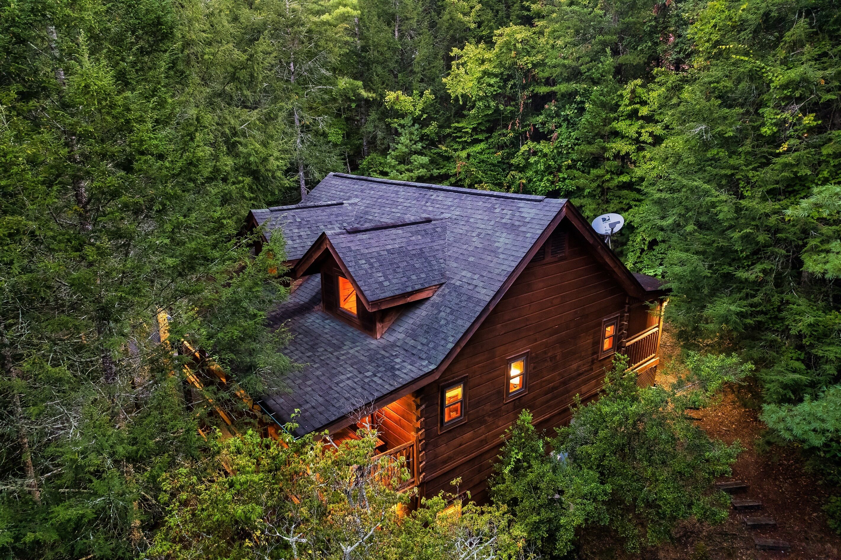 A cabin with a sloped roof, surrounded by dense forest.