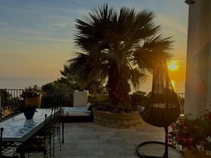 Une terrasse avec une table, des chaises, un fauteuil et un palmier.