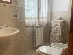 Shower, hair dryer, bidet, towels