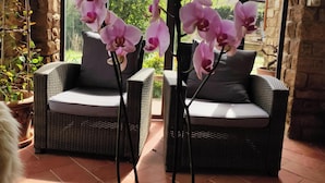 Un patio con muebles de mimbre y una orquídea en maceta.