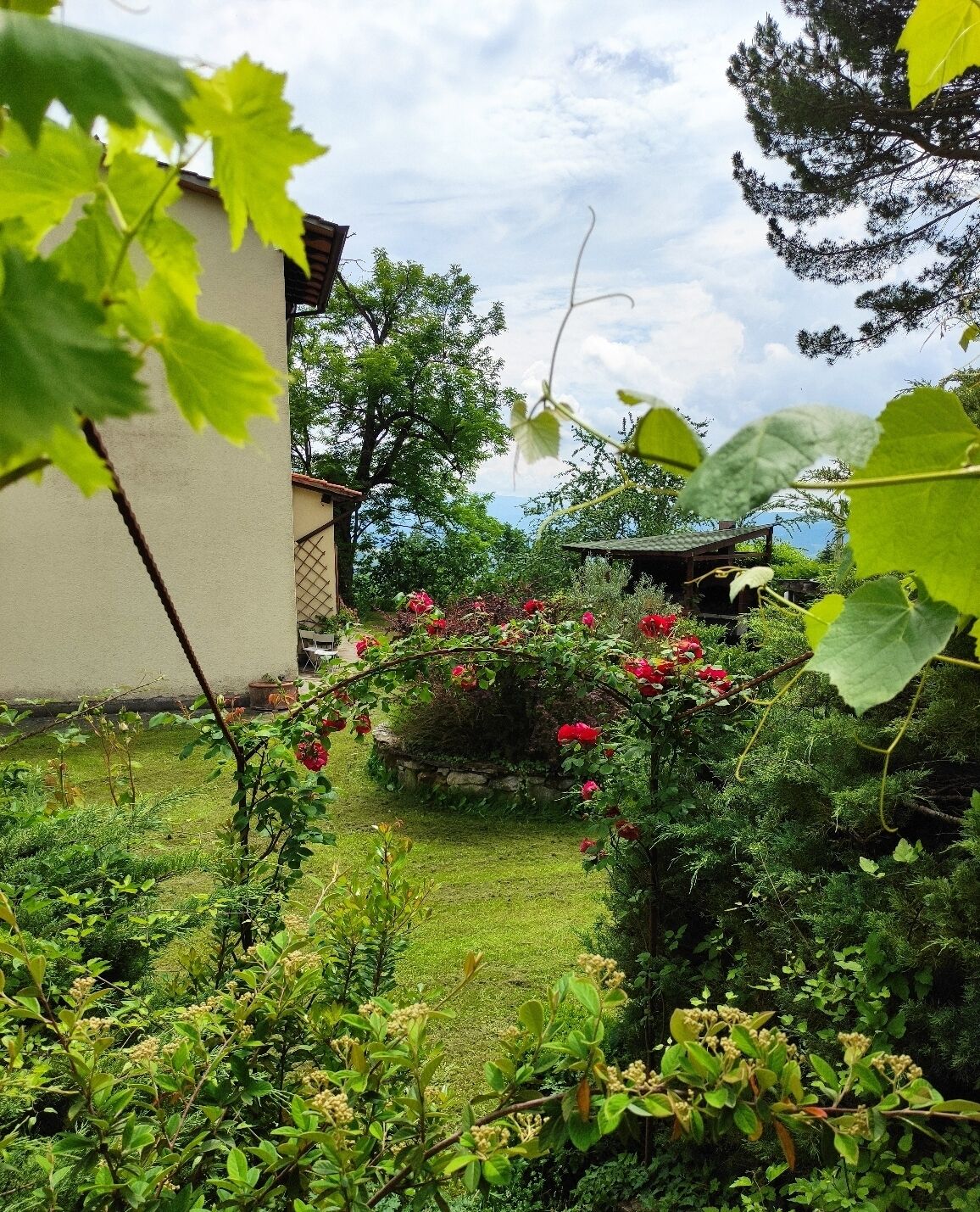Terrain de l’hébergement 