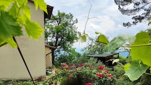 Un jardín con diversas plantas y flores, una estructura de piedra y un edificio al fondo.
