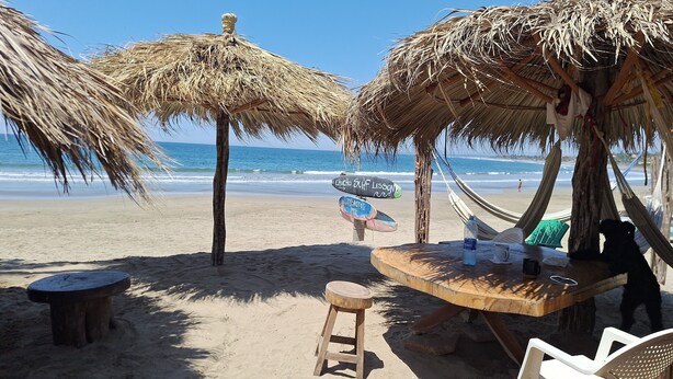 Spiaggia con ombrelloni di paglia, un tavolo di legno, un'amaca e un cartello segnaletico.