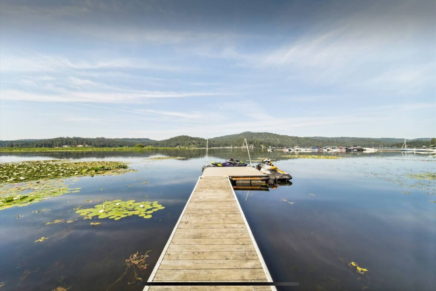 A wooden dock extending into calm water with lily pads, surrounded by a forested landscape and a distant bridge.