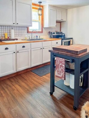 Private kitchen - Ultimate Hayward Trailhead Cabin (Hayward)