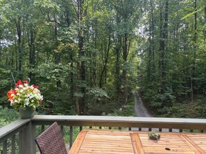 Outdoor dining - True Cabin in the Woods Experience (Saluda)