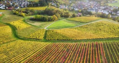 Vacation apartment Weincastell in the sea of vines