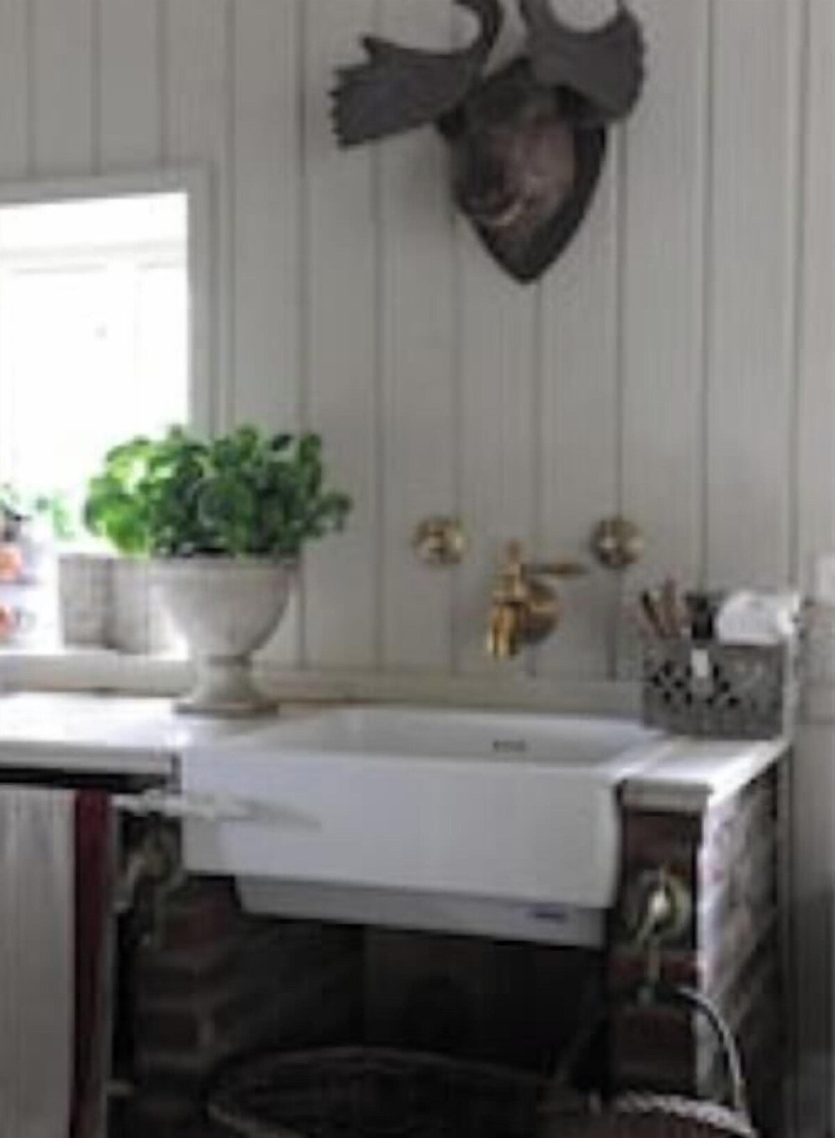 Imagem do perfil do anfitrião