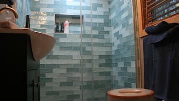 Hair dryer, towels, soap, shampoo