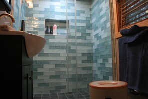 Hair dryer, towels, soap, shampoo