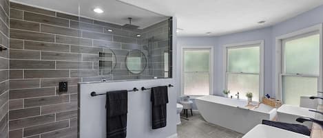 Shower, hair dryer, bidet, towels
