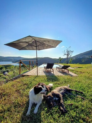 Terrace/patio - Writer's retreat, with one of the best views of the Douro Valley! (Raiva)