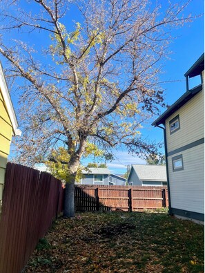 Área da propriedade