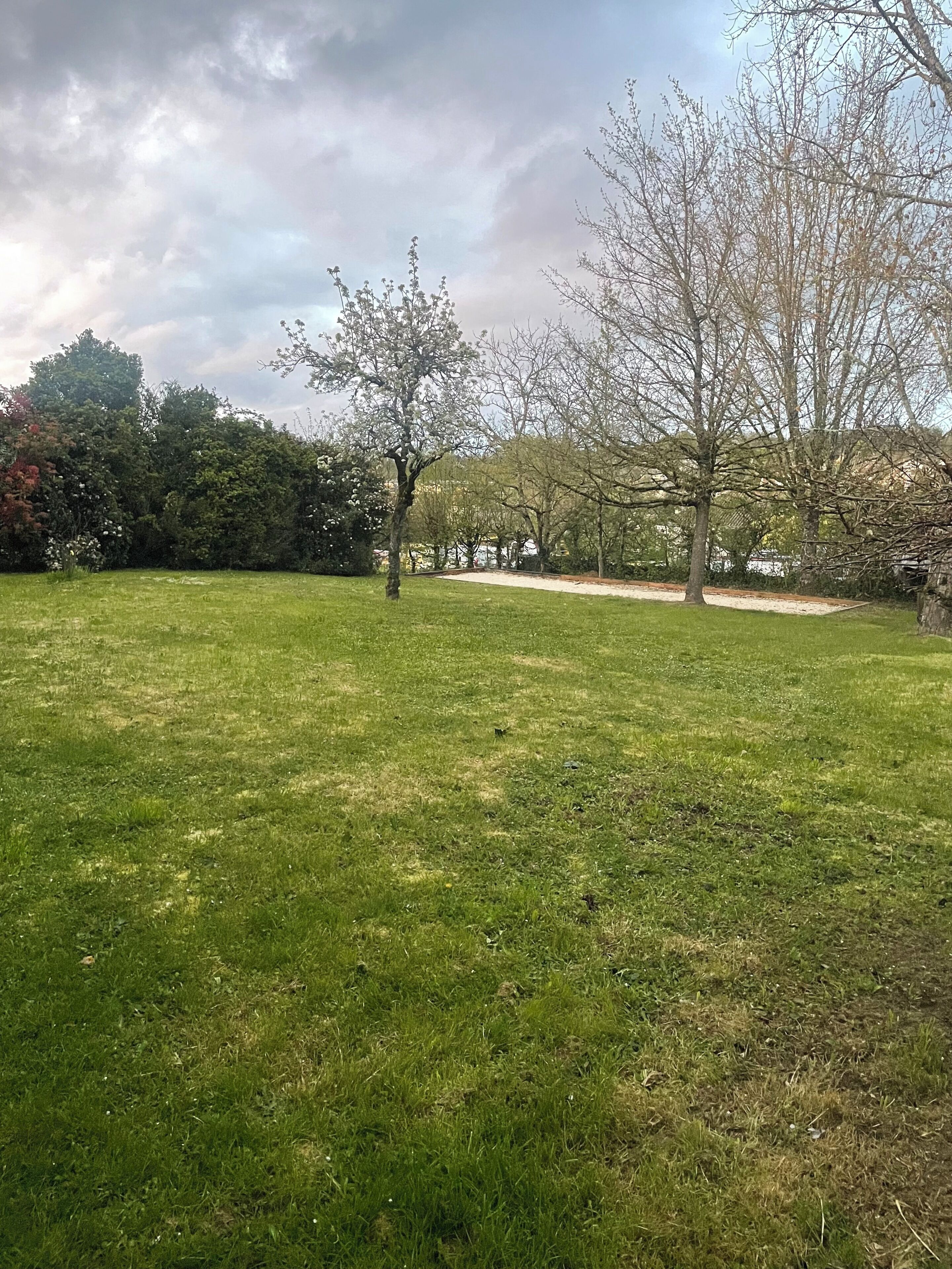 A grassy outdoor area with trees and a clear sky.