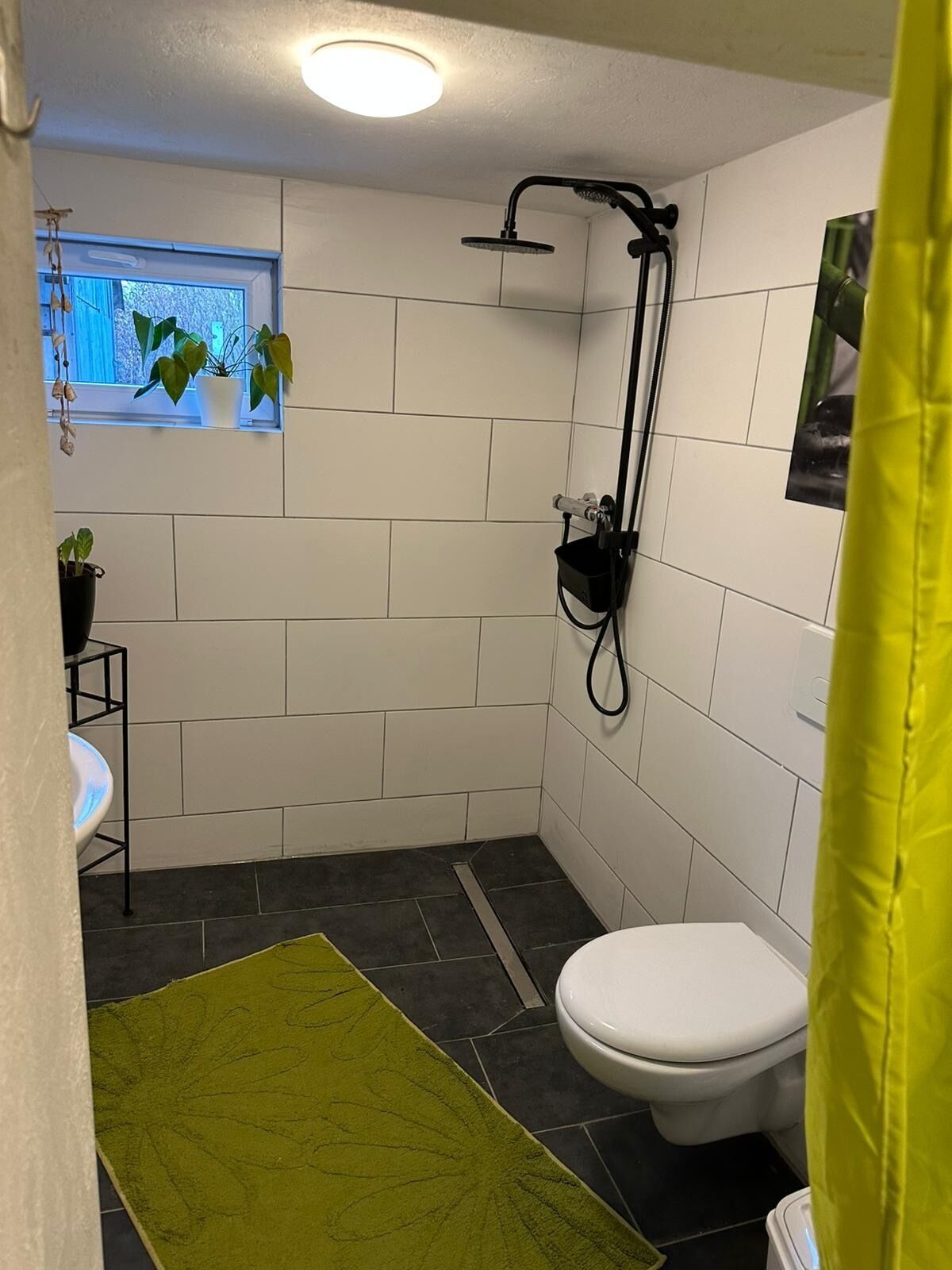 Toilettenpapier