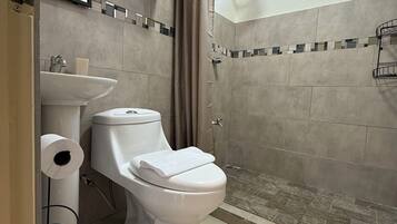 Shower, towels, soap, toilet paper