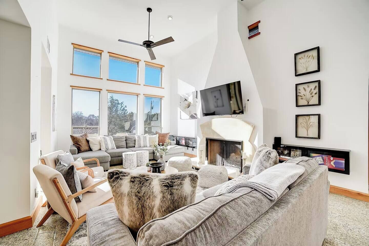 智能電視、壁爐、書籍、音響