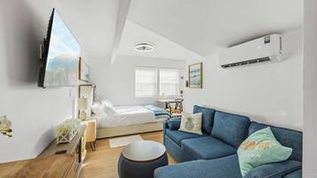 TV, fireplace, books