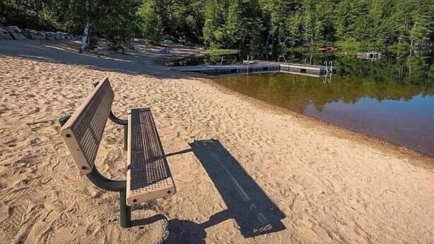 A bench on a sandy beach with a calm lake and dense forest in the background. - Enjoy an all seasons retreat, perfect for relaxing getaways in Tamworth NH (Tamworth)