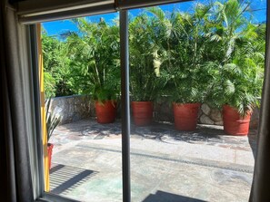 A view through a window with a stone wall and potted plants.