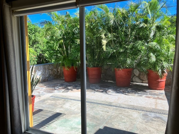 A view through a window with a stone wall and potted plants.