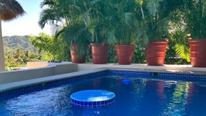 Ein Swimmingpool mit blauer Fliesenbordüre, umgeben von großen Terrakotta-Pflanzgefäßen und Palmen.
